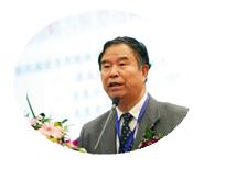 中国汽车工程学会电动汽车分会主任、清华大学教授陈全世
